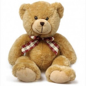 Brown teddy bear.